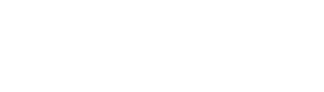 SENSOR NETWORK INC